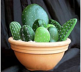 Pebbles cactus